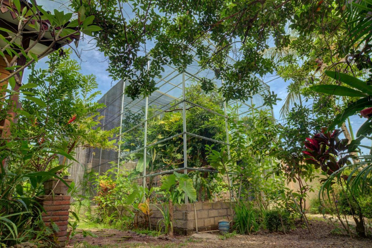 Bata Merah Homestay Banyuwangi  Extérieur photo
