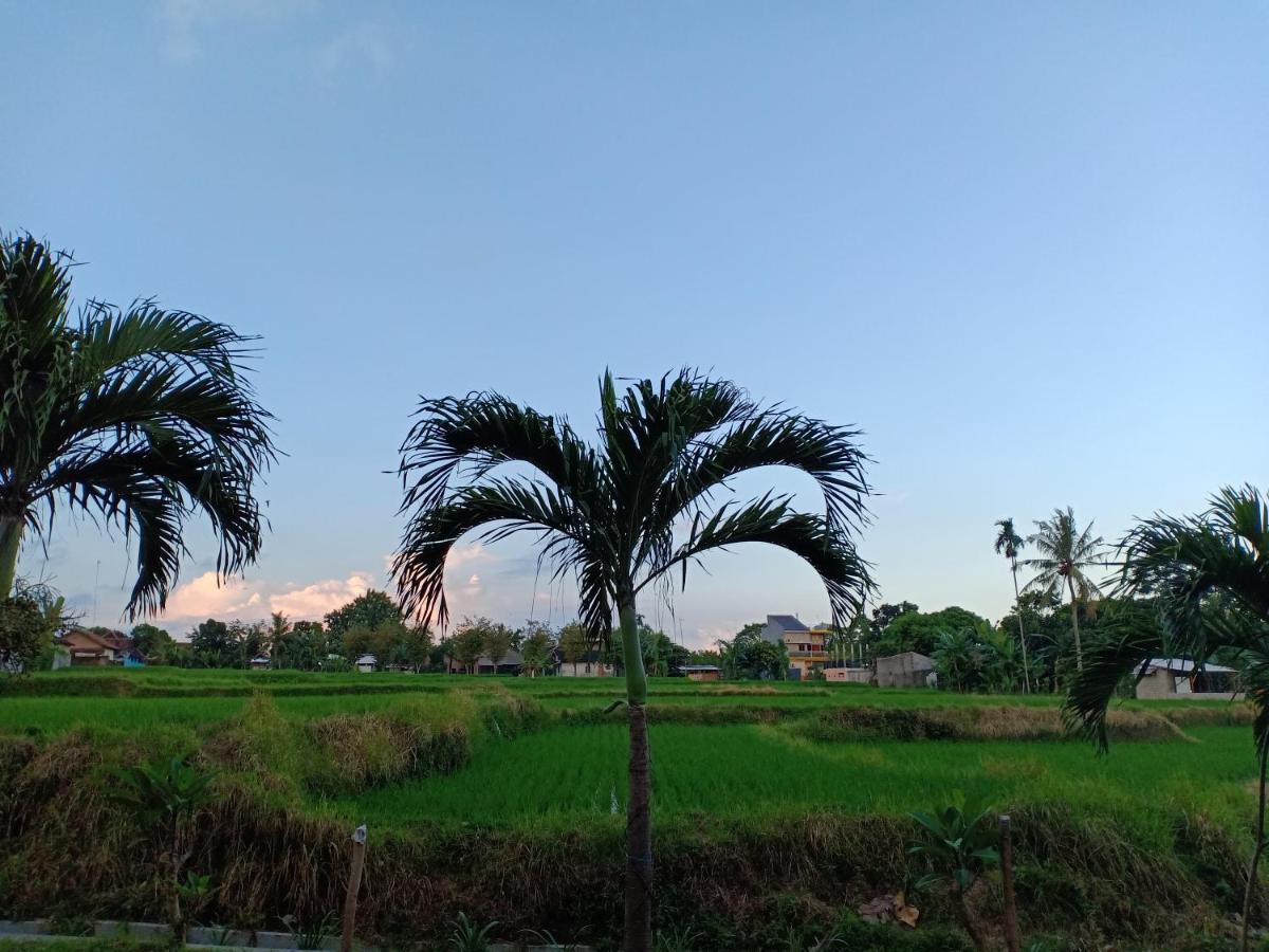 Bata Merah Homestay Banyuwangi  Extérieur photo