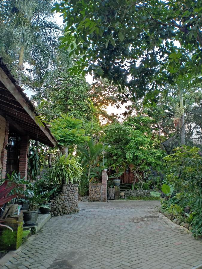 Bata Merah Homestay Banyuwangi  Extérieur photo