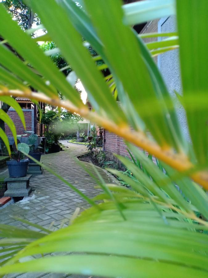 Bata Merah Homestay Banyuwangi  Extérieur photo