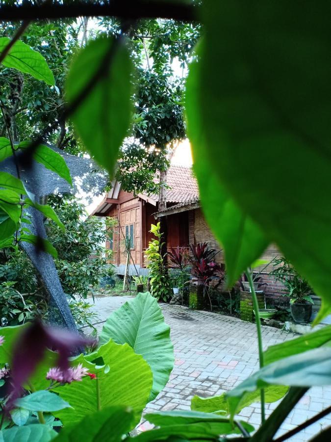 Bata Merah Homestay Banyuwangi  Extérieur photo