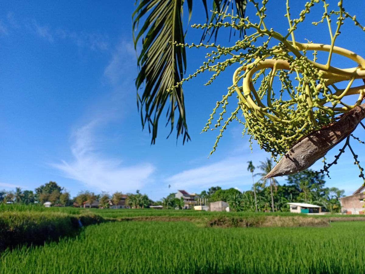 Bata Merah Homestay Banyuwangi  Extérieur photo