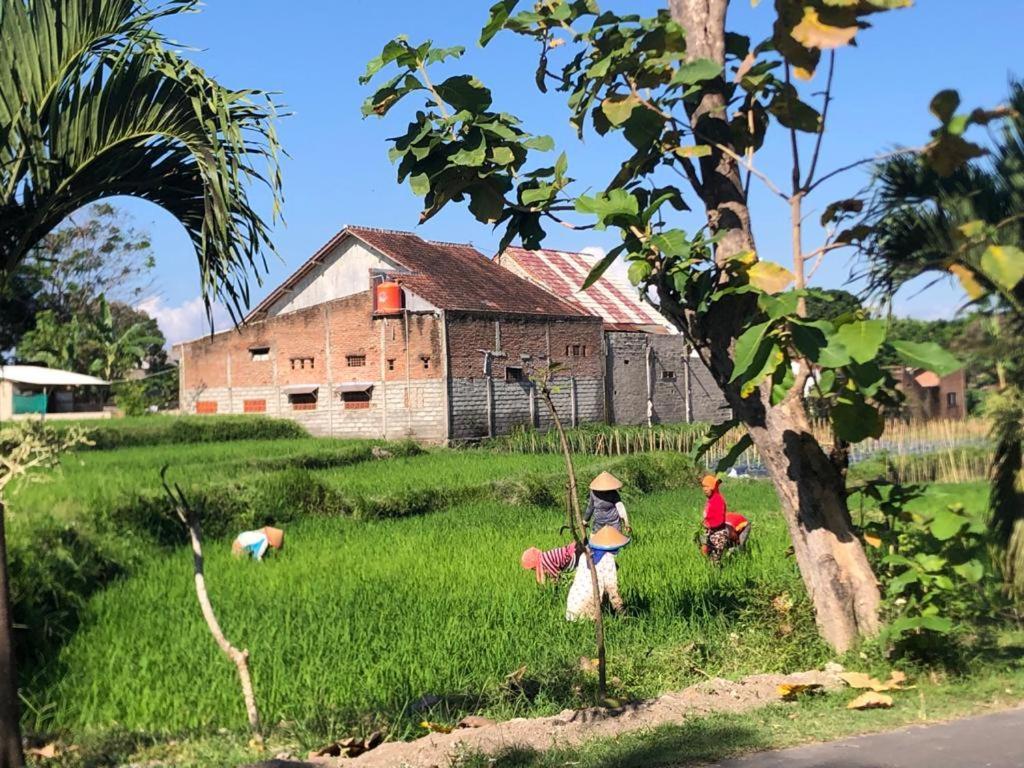 Bata Merah Homestay Banyuwangi  Extérieur photo